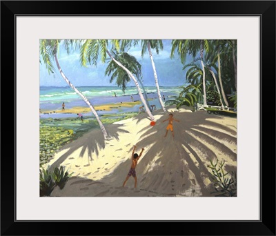 Palm trees, Clovelly beach, Barbados, 2013