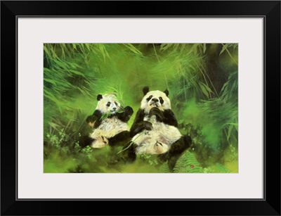 Pandas, 1998