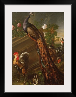 Peacock and Cockerels by David de Koninck
