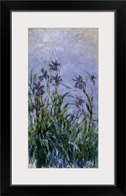 Purple Irises, 1914-17