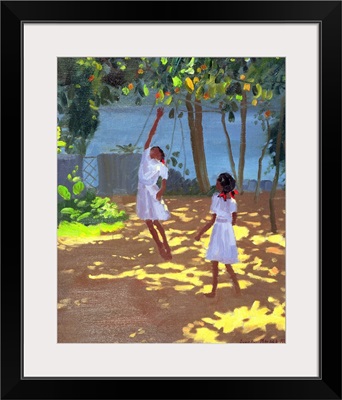 Reaching for Oranges, Bentota, Sri Lanka, 1998
