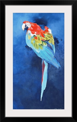 Red and Blue Macaw, 2002