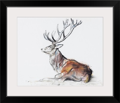 Seated Stag, 2006