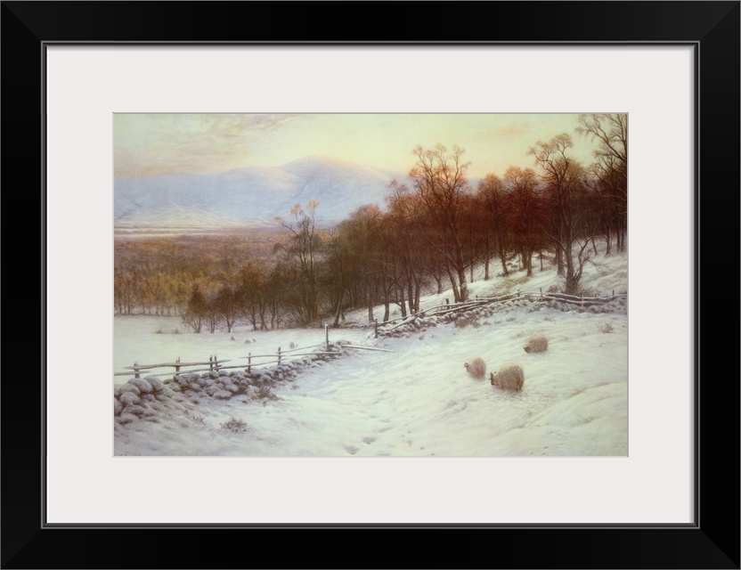 Snow Covered Fields with Sheep