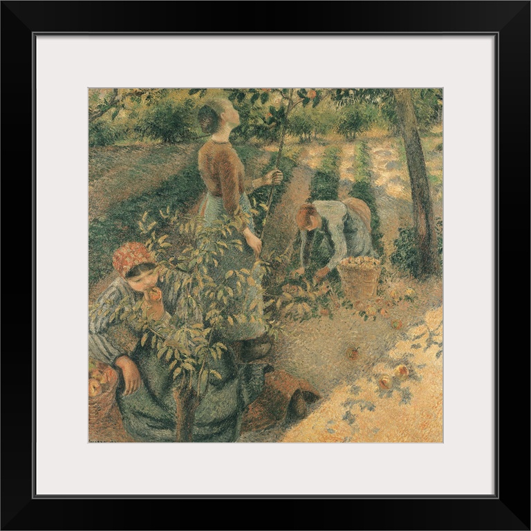 XIR111372 The Apple Pickers, 1886 (oil on canvas)  by Pissarro, Camille (1831-1903); 128x128 cm; Ohara Museum of Art, Kura...