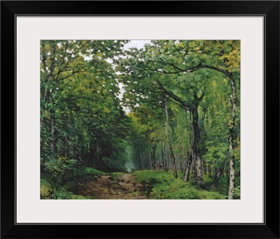 The Avenue of Chestnut Trees at La Celle-Saint-Cloud, 1867