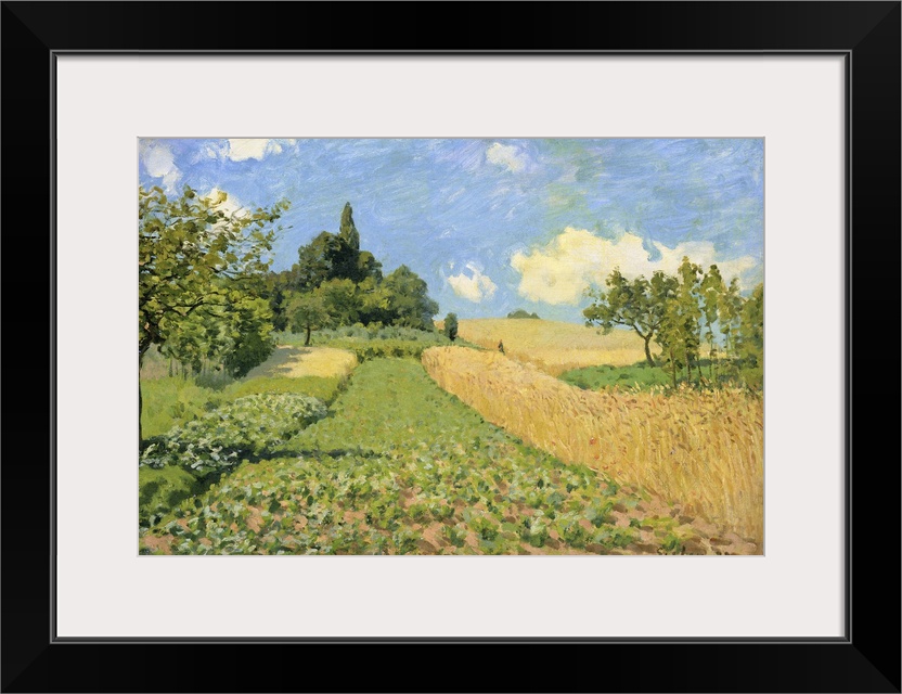 XKH148976 The Cornfield (near Argenteuil) (oil on canvas)  by Sisley, Alfred (1839-99); 50.5x73.1 cm; Hamburger Kunsthalle...