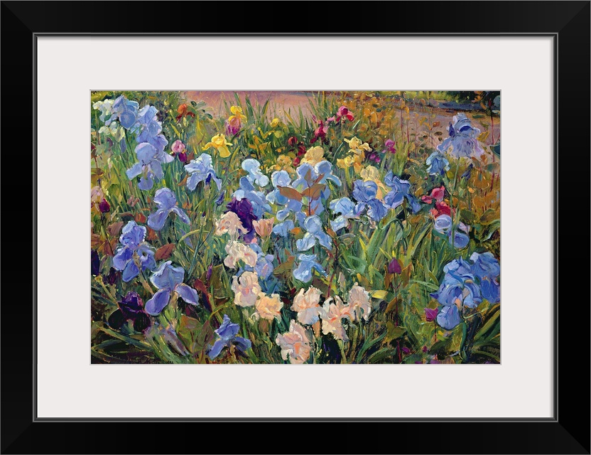 A realistic photograph of a variety of multicolor irises growing beside a road in spring.