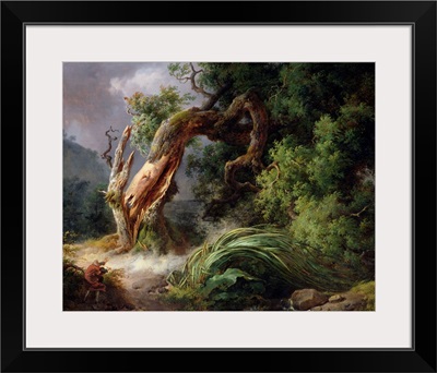 The Oak and the Reed, 1816
