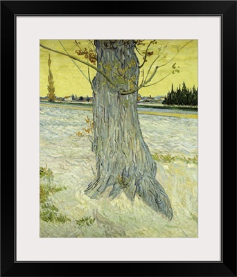 The Old Tree (Le Vieil If), 1888