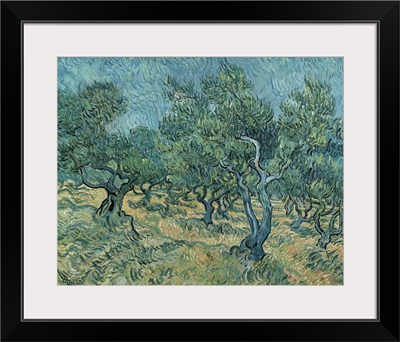 The Olive Grove, 1889