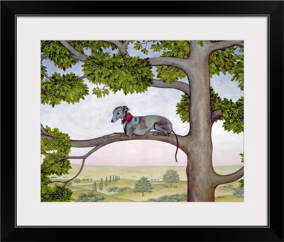 The Tree Whippet