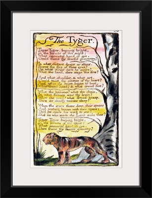 'The Tyger', Plate 36 From 'Songs Of Innocence And Of Experience'