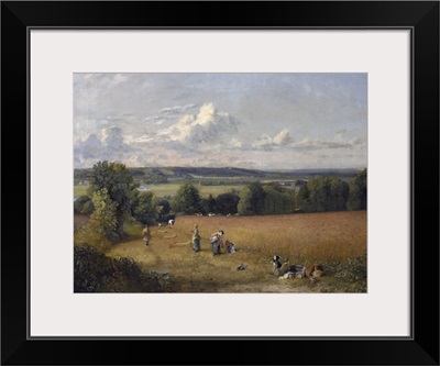 The Wheat Field, 1816