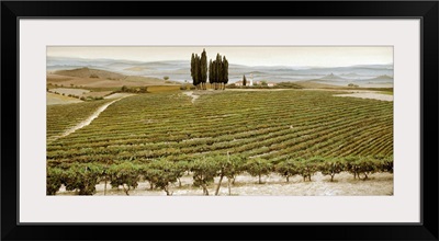 Tree Circle, Tuscany