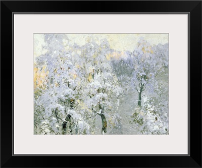 Trees in Wintry Silver, 1910