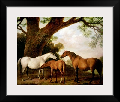 Two Shafto Mares and a Foal, 1774