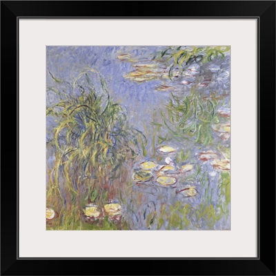 Water-Lilies, Cluster Of Grass, 1914-17