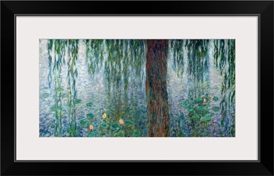 Waterlilies: Morning with Weeping Willows