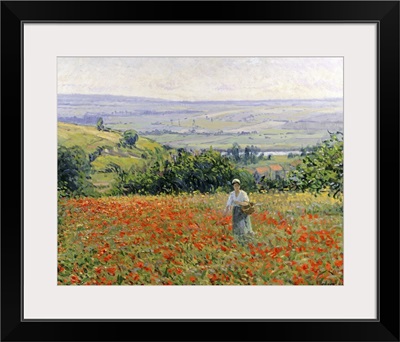 Woman in a Poppy Field