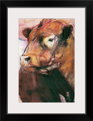 Zeus, Red Belted Galloway Bull, 2006