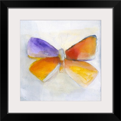 Butterfly IV