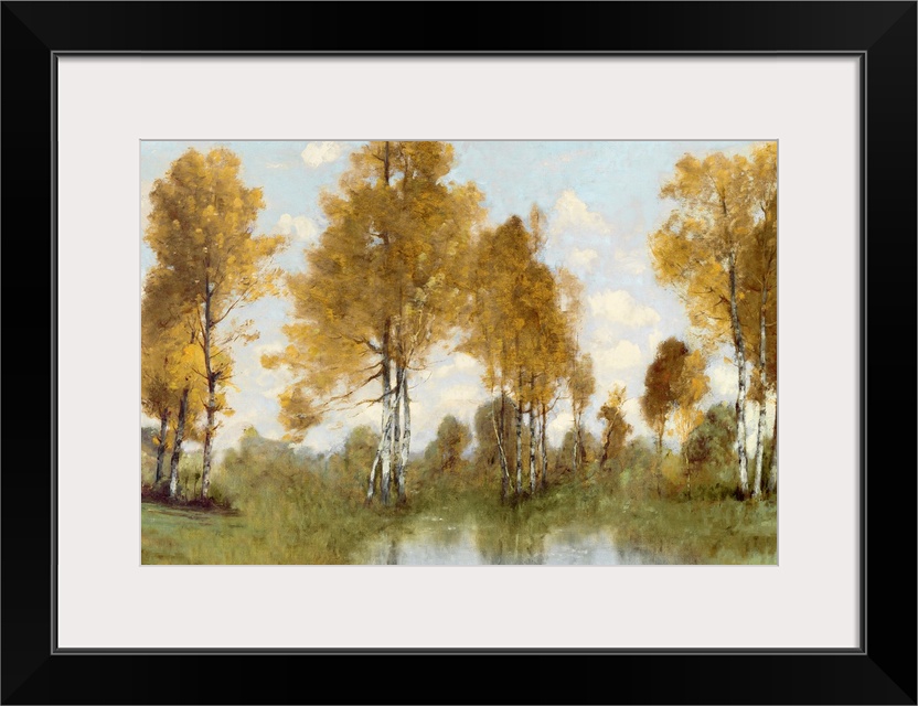 A beautiful traditional style landscape painting of tall birch trees in autumn with golden foliage