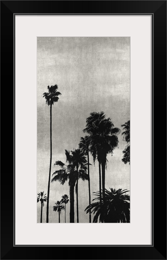 Decorative artwork featuring a black silhouette of a palm tree over a distressed background.