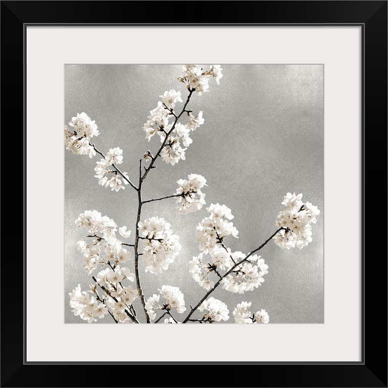 Silver Blossoms I