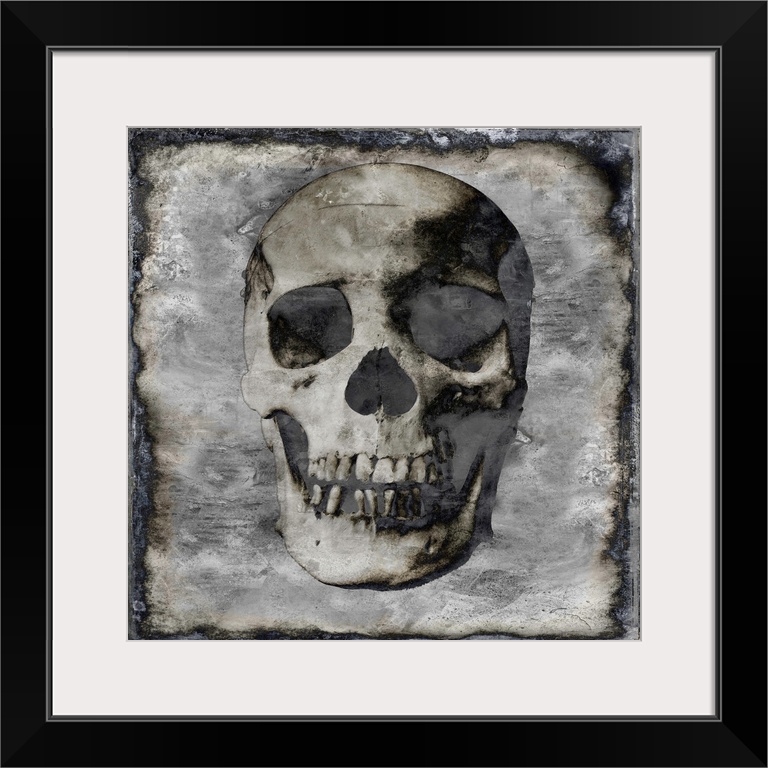 Skull III Wall Art, Canvas Prints, Framed Prints, Wall Peels