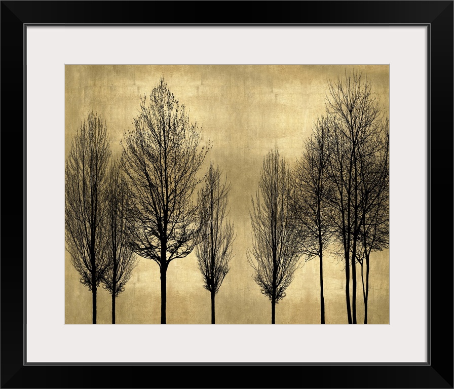 Decorative artwork featuring a black silhouette of leafless trees over a distressed background