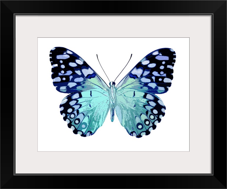 Illustration of a butterfly in shades of blue on a white background.