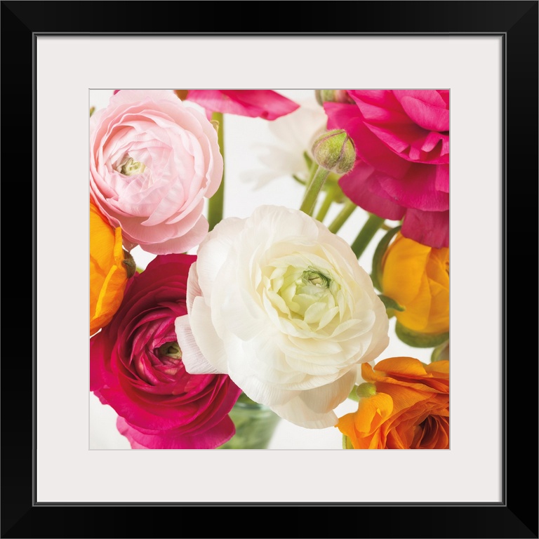 Square photo of vibrant colored roses in shades of pink, yellow and white.