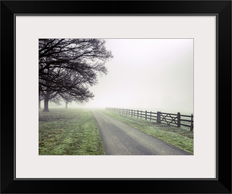 Fog - trees and fence.