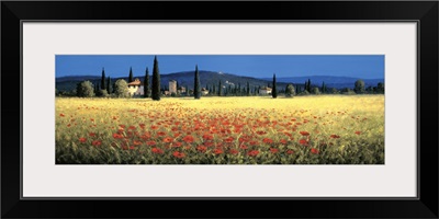 Tuscan Panorama, Poppies