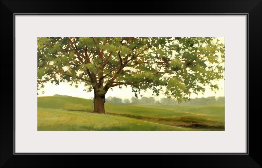 Panoramic landscape of a large tree in a field of green grass with a line of a distance woods in the background.