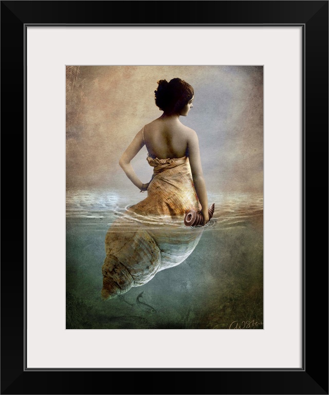 Conceptual art of a woman who is half shell, floating in water.