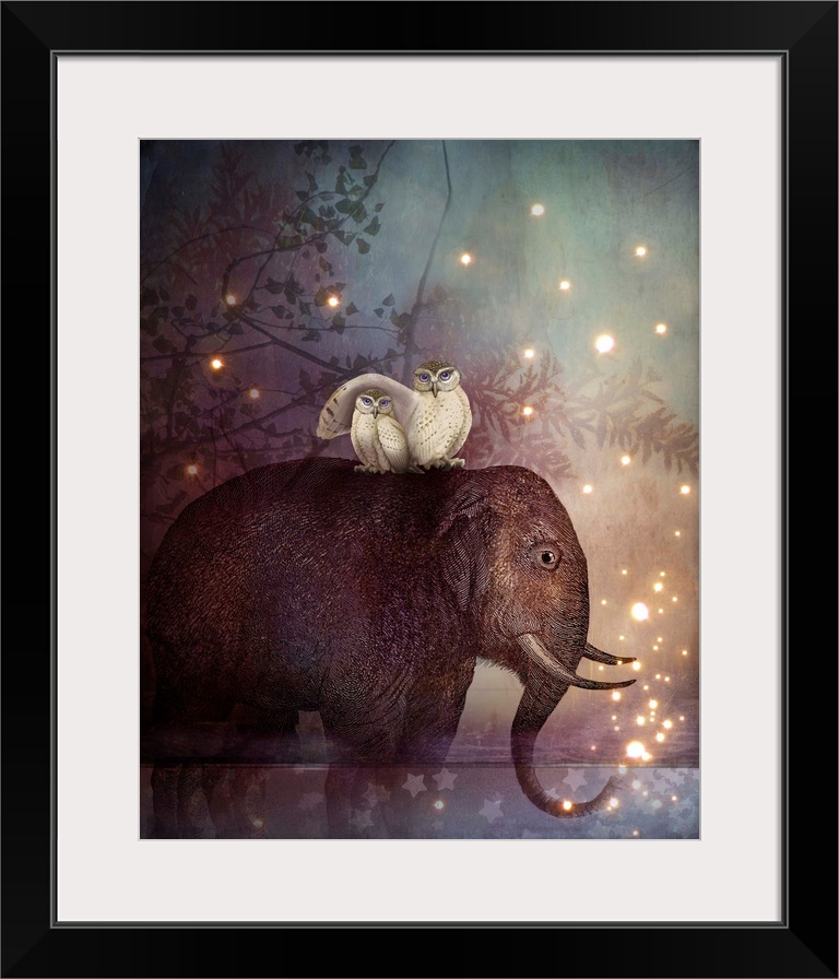 An elephant, standing in a small pond of water on a starry night, has a pair of white owls perched on his back.