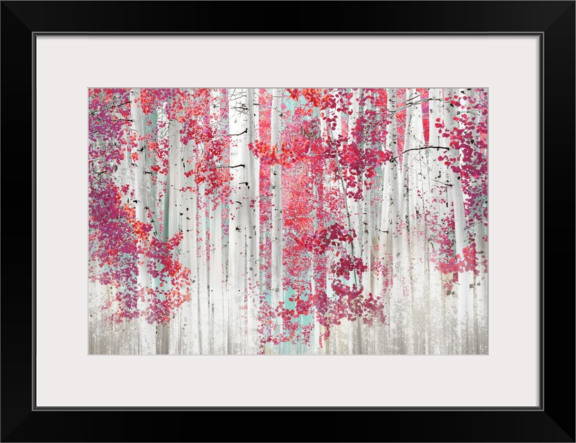 Birch Trees P