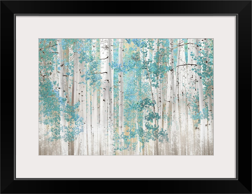 Birch Trees T