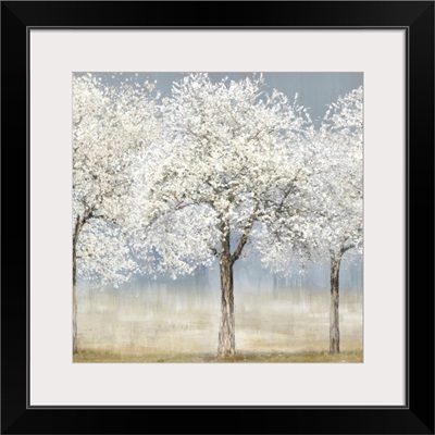 Blossom Trees I