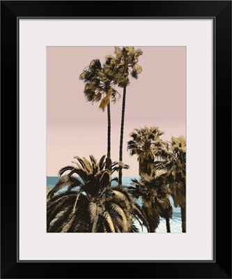 Palms And Beach III