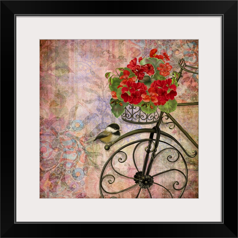 Lovely, intriquing and eye-catching image of a bicycle with Geraniums.
