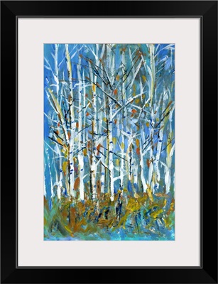 Birch Trees