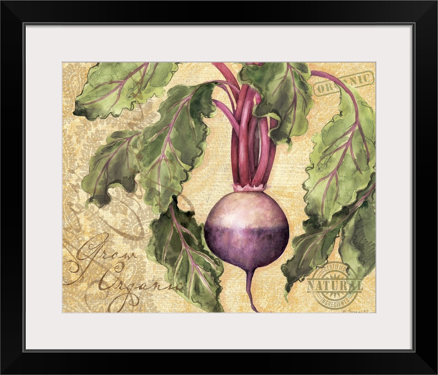 Elegant botanical vegetable  art perfect for kitchen, dining room, home decor