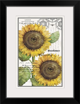 Botanical Sunflower