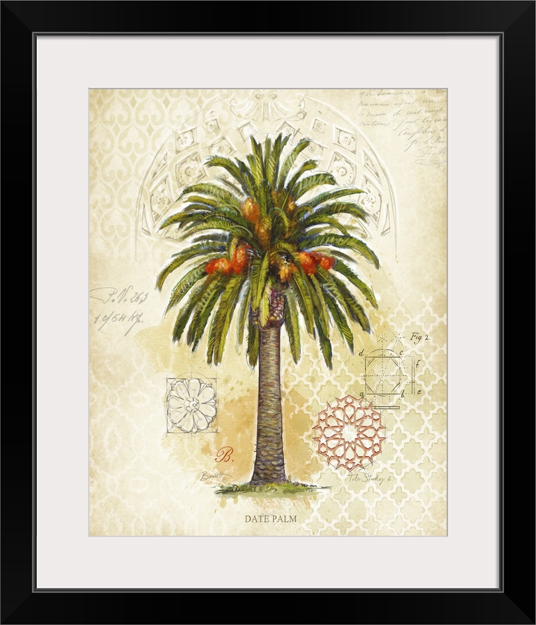 Classic treatment of the lovely palm tree, fine art look for any decor style.