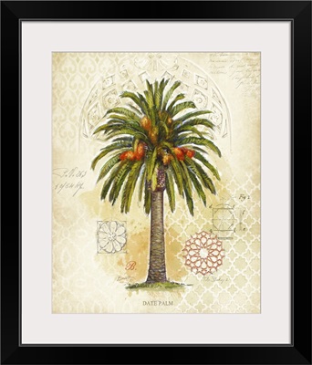 Date Palm