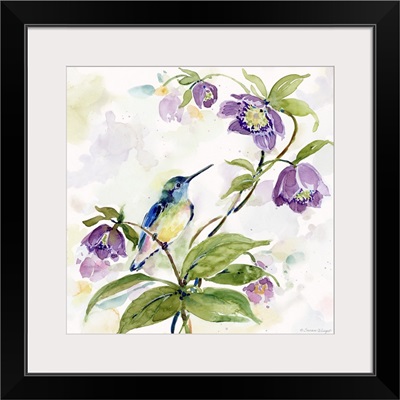 Hummingbird With Purple Flowers