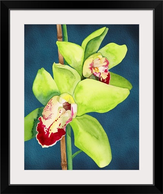 Orchid Garden IV